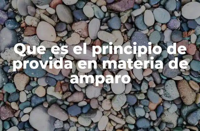 Que es el Principio de Provida en Materia de Amparo