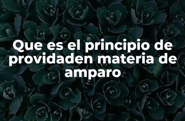 Que es el Principio de Providaden Materia de Amparo