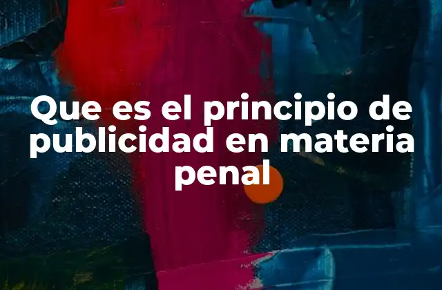 Que es el Principio de Publicidad en Materia Penal