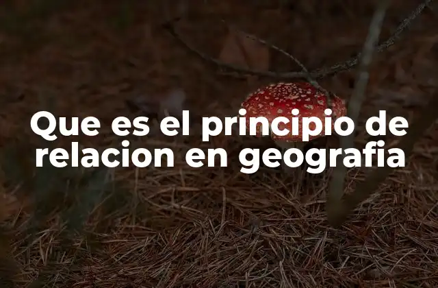 Que es el Principio de Relacion en Geografia