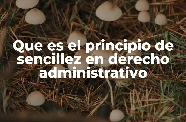 Que es el Principio de Sencillez en Derecho Administrativo