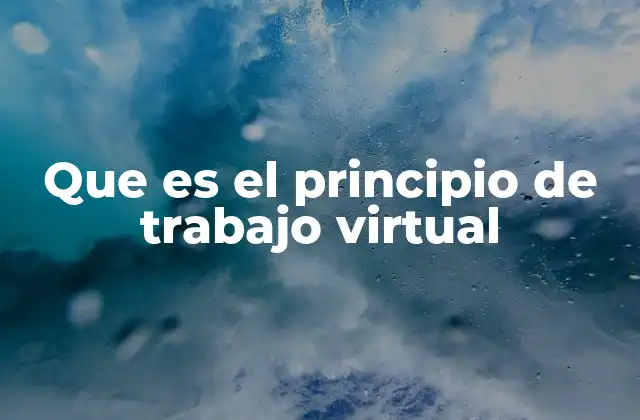 Que es el Principio de Trabajo Virtual