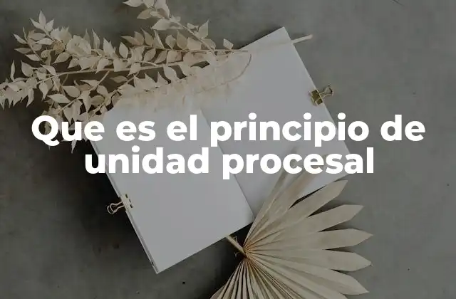 Que es el Principio de Unidad Procesal