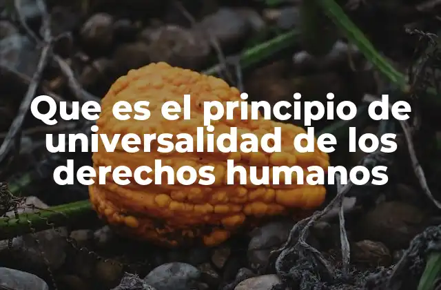 Que es el Principio de Universalidad de los Derechos Humanos