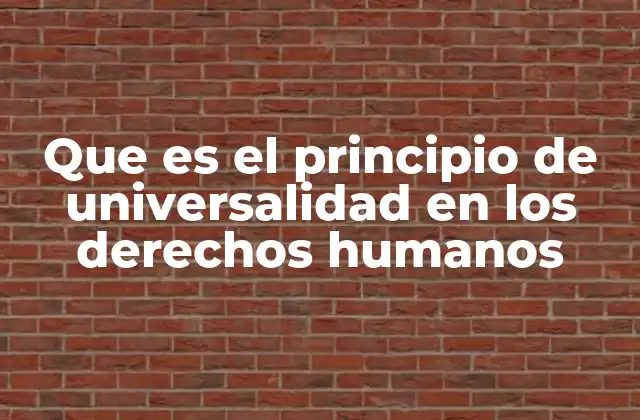 Que es el Principio de Universalidad en los Derechos Humanos