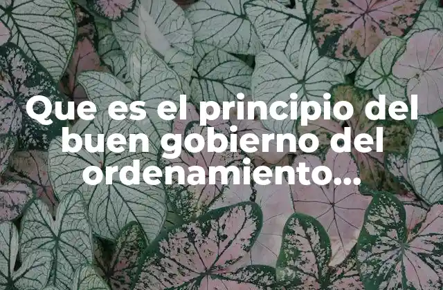 Que es el Principio Del Buen Gobierno Del Ordenamiento Territorial