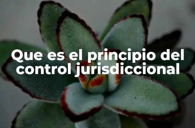 Que es el Principio Del Control Jurisdiccional