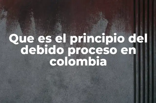 Que es el Principio Del Debido Proceso en Colombia