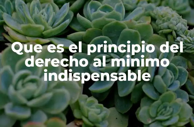 Que es el Principio Del Derecho Al Minimo Indispensable