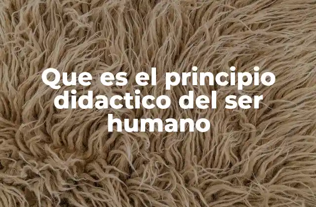 Que es el Principio Didactico Del Ser Humano