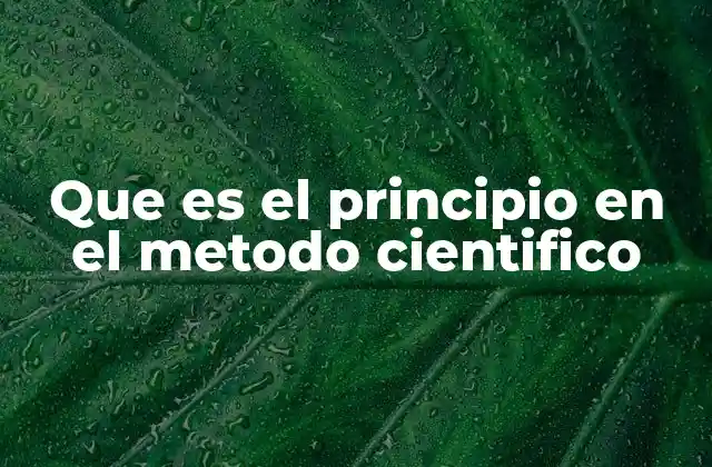 Que es el Principio en el Metodo Cientifico