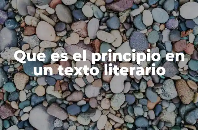 Que es el Principio en un Texto Literario