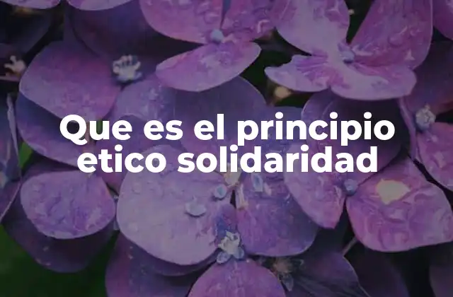 Que es el Principio Etico Solidaridad