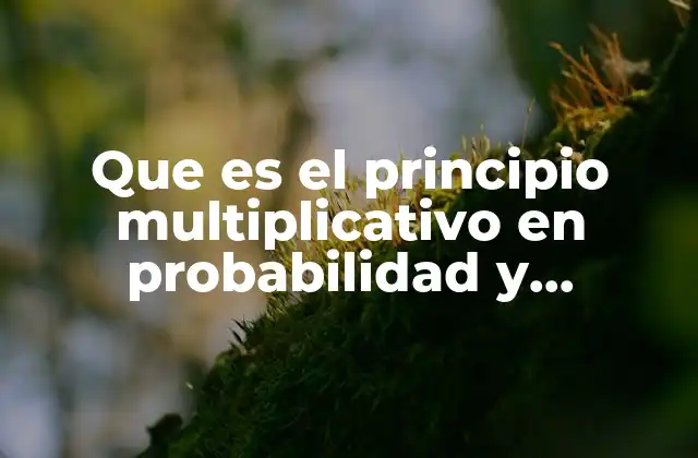 Que es el Principio Multiplicativo en Probabilidad y Estadistica