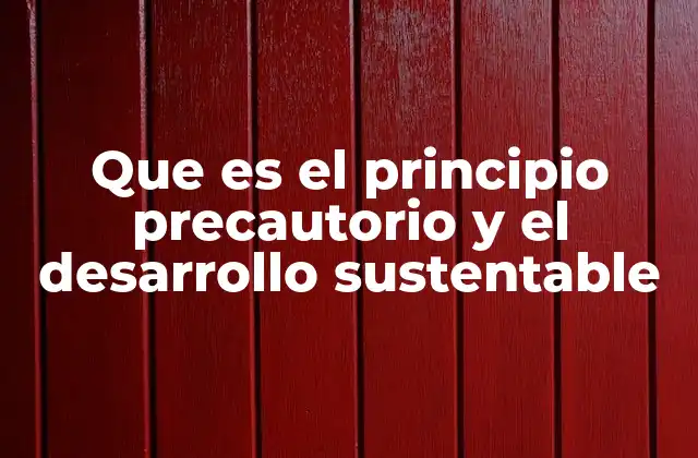 Que es el Principio Precautorio y el Desarrollo Sustentable