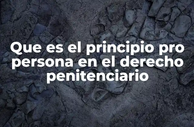 Que es el Principio Pro Persona en el Derecho Penitenciario