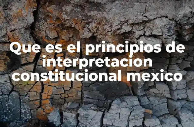 Fundamentos teóricos de la interpretación constitucional en México