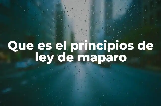 Que es el Principios de Ley de Maparo