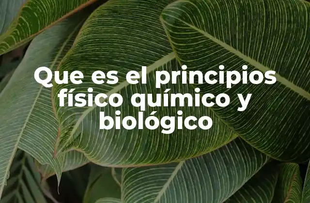 Que es el Principios Físico Químico y Biológico