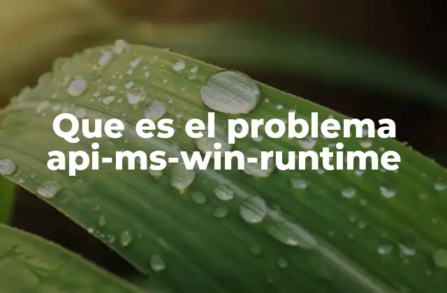 Que es el Problema Api-ms-win-runtime