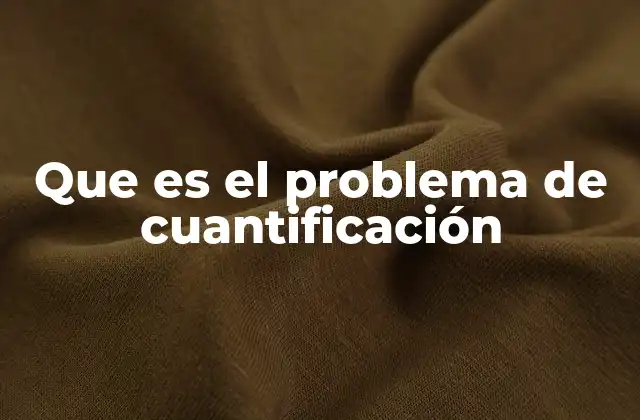 Que es el Problema de Cuantificación