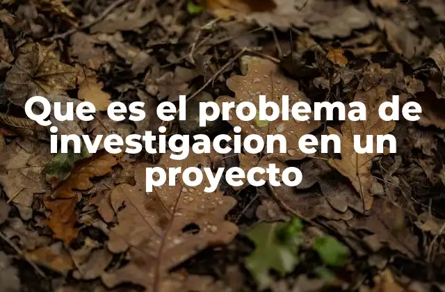 Que es el Problema de Investigacion en un Proyecto