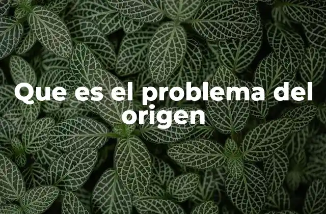 Que es el Problema Del Origen