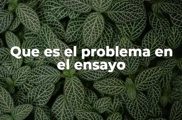 Que es el Problema en el Ensayo