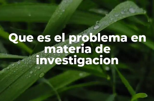 Que es el Problema en Materia de Investigacion