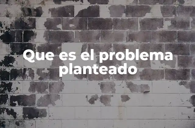 Que es el Problema Planteado