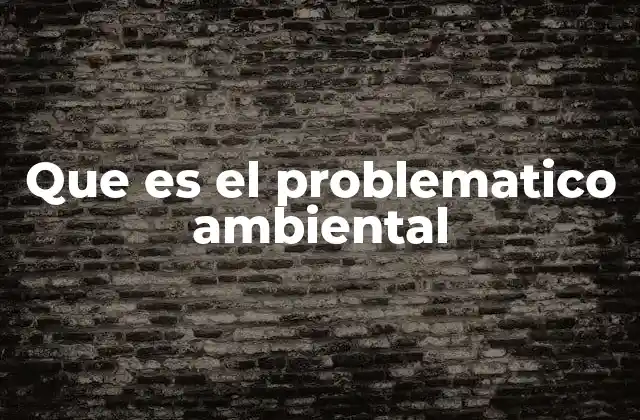 Que es el Problematico Ambiental