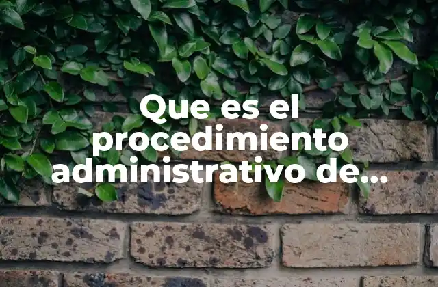 Que es el Procedimiento Administrativo de Fiscalización