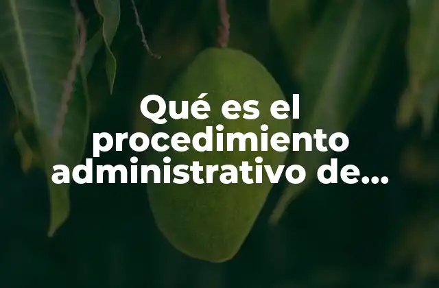 Qué es el Procedimiento Administrativo de Órganos Jurisdiccionales