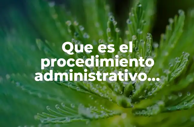 Que es el Procedimiento Administrativo Sancionador en Materia Turisristica