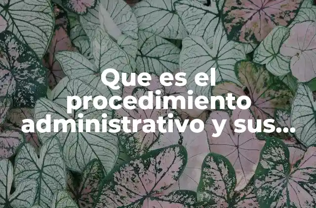 Que es el Procedimiento Administrativo y Sus Fases 2 El proceso formal en la gestión pública