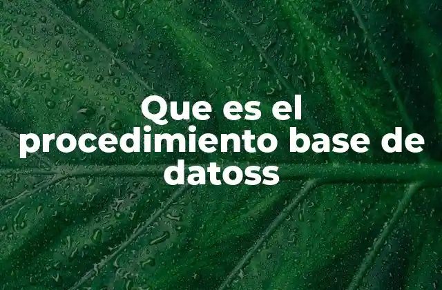 Que es el Procedimiento Base de Datoss