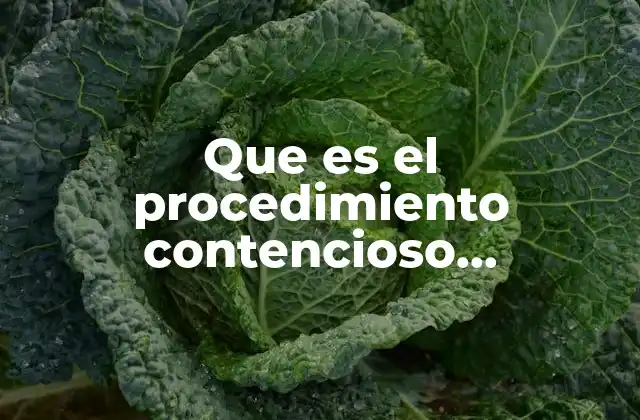 Que es el Procedimiento Contencioso Administrativo Federal