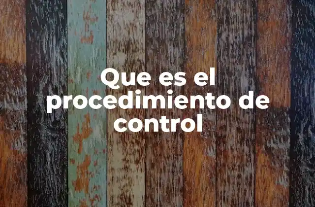 Que es el Procedimiento de Control