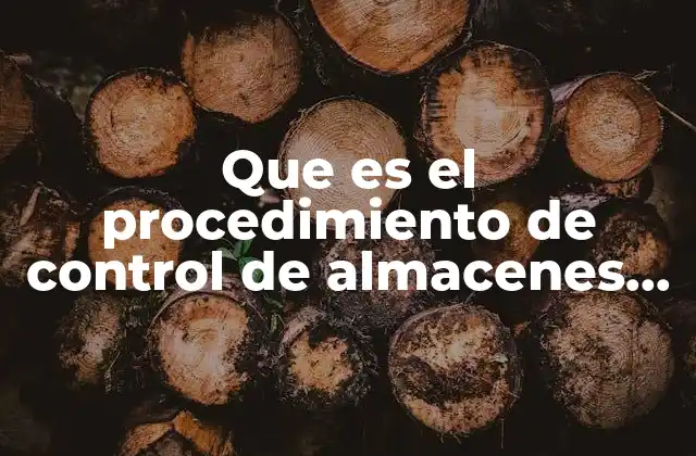 Que es el Procedimiento de Control de Almacenes en Contabilidad