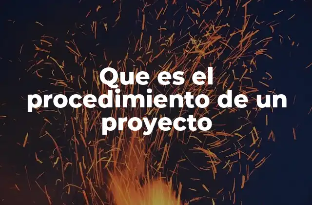 Que es el Procedimiento de un Proyecto