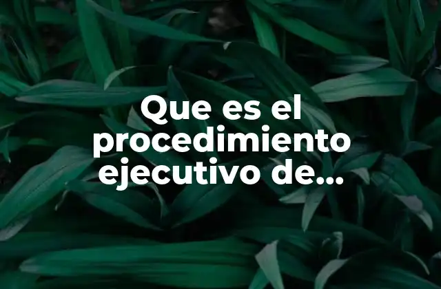 El rol del poder judicial en la ejecución de obligaciones