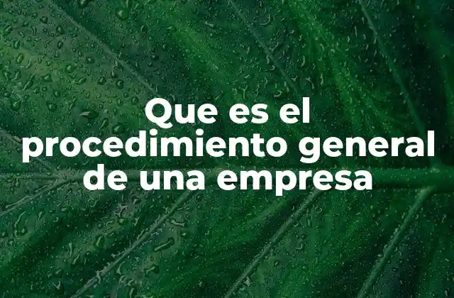 Que es el Procedimiento General de una Empresa