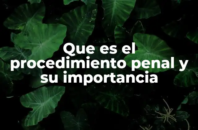 Que es el Procedimiento Penal y Su Importancia