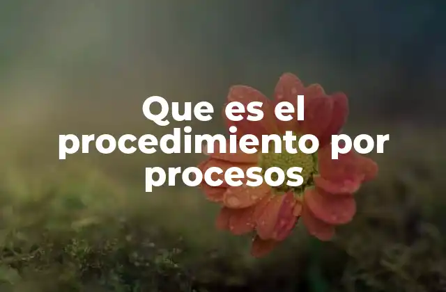 Que es el Procedimiento por Procesos