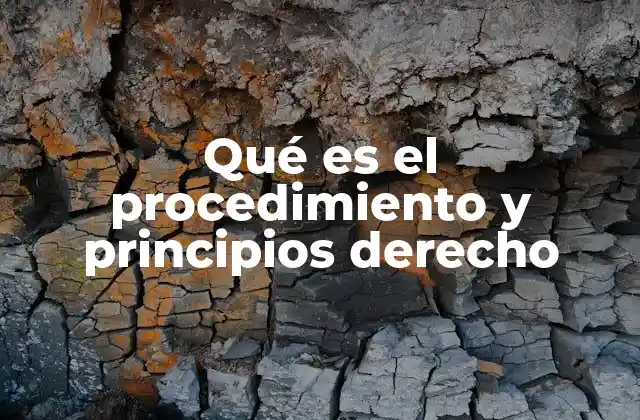 Qué es el Procedimiento y Principios Derecho