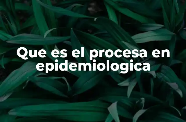 Que es el Procesa en Epidemiologica