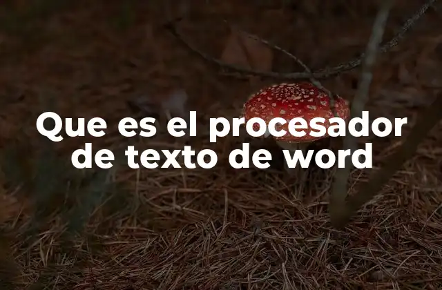Que es el Procesador de Texto de Word