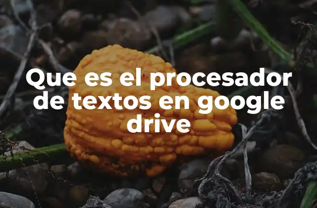 Que es el Procesador de Textos en Google Drive