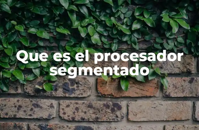 Que es el Procesador Segmentado