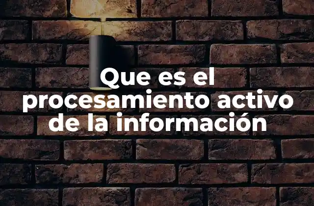 Que es el Procesamiento Activo de la Información